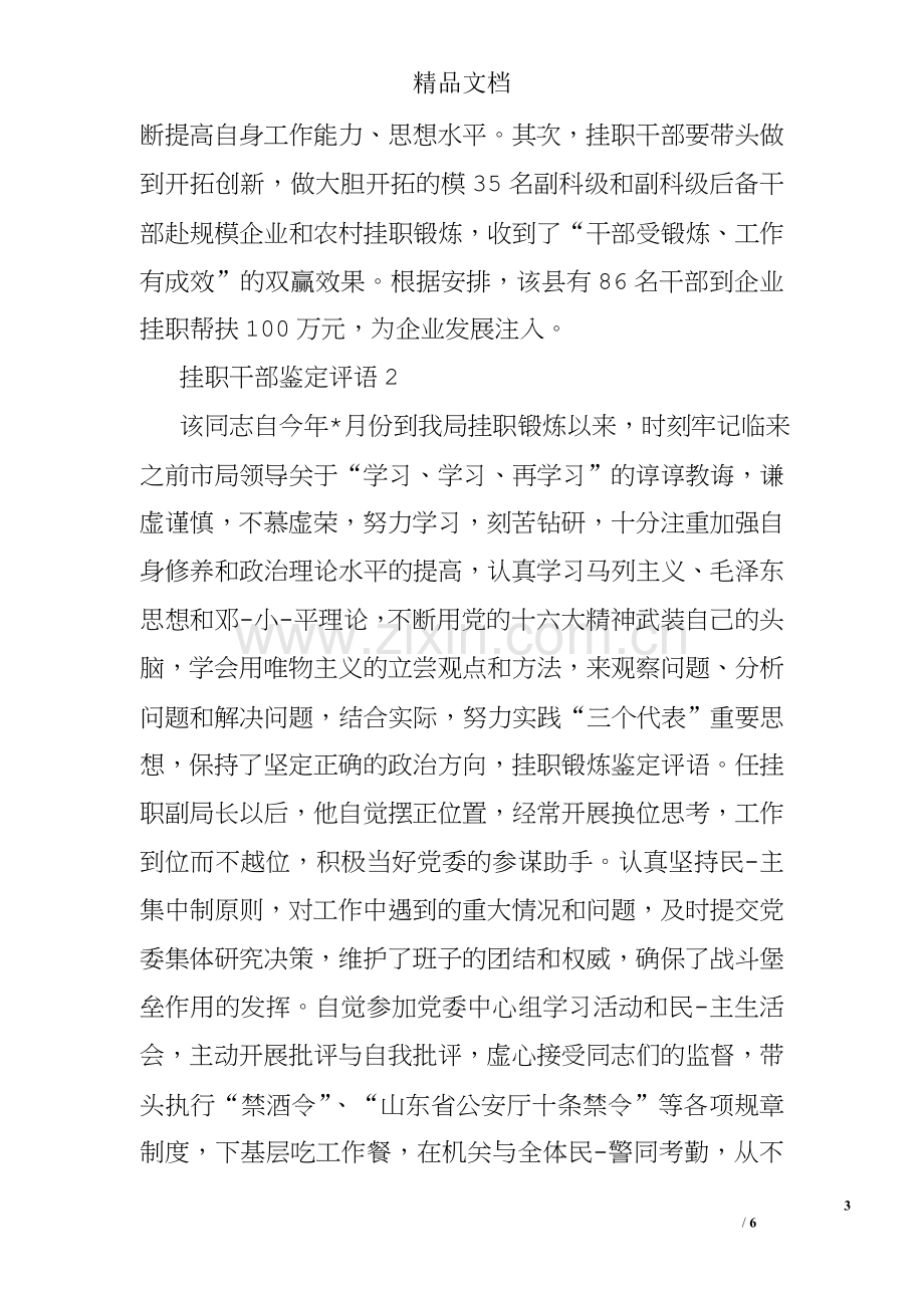 挂职干部鉴定的评语.doc_第3页