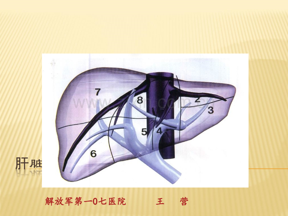 肝脏正常及异常CT影像学习珍藏版ppt课件.ppt_第1页