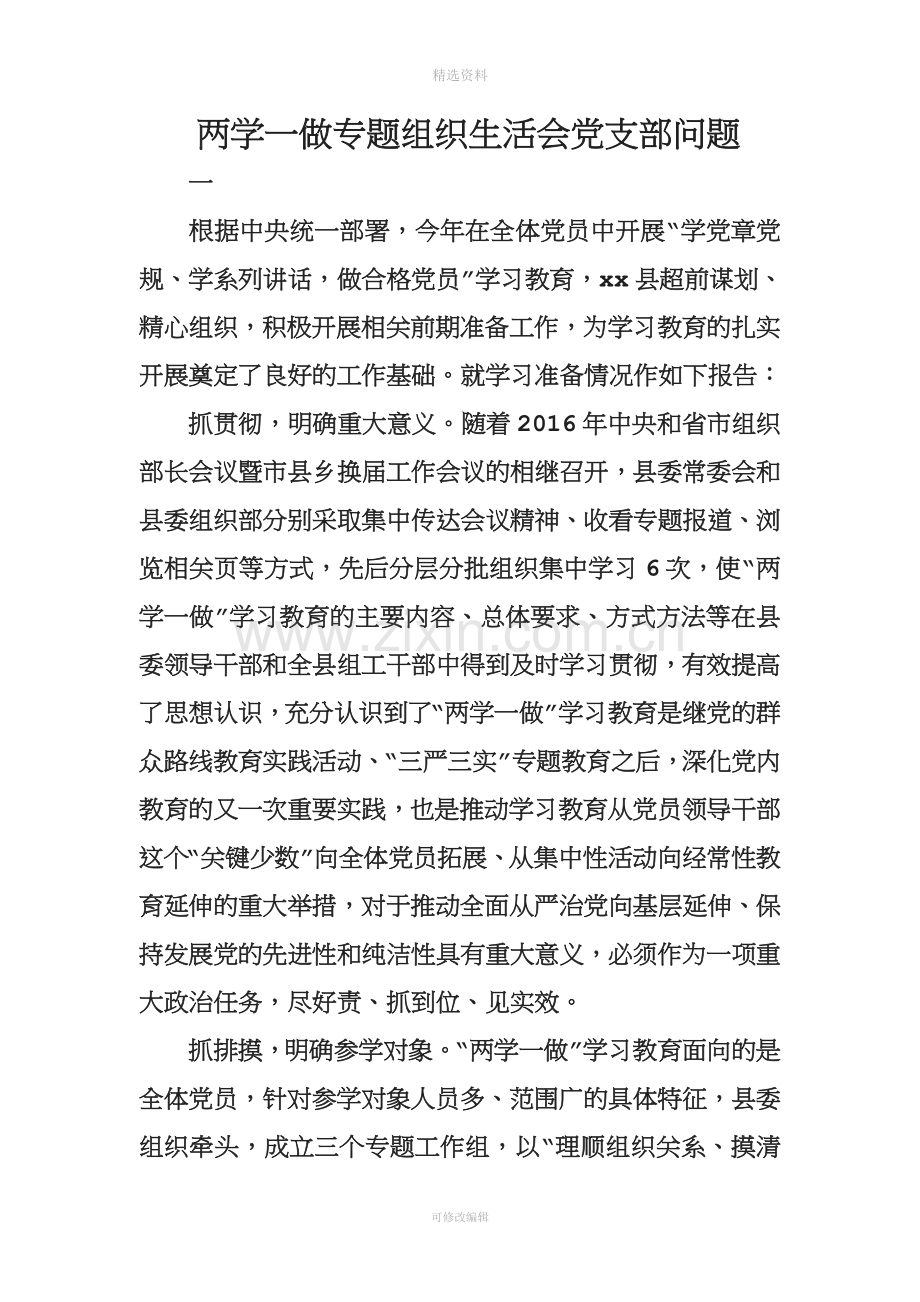 两学一做专题组织生活会党支部问题.doc_第1页