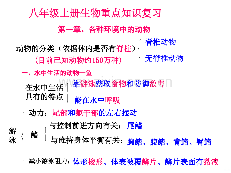 八年级上册生物重点知识复习提纲新人教完整版PPT课件.ppt_第1页