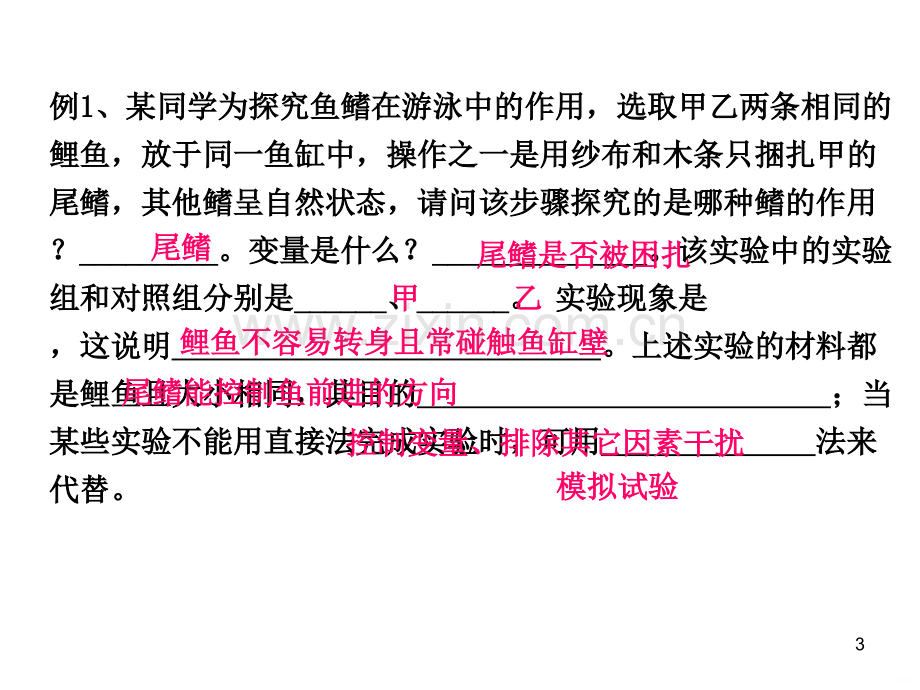 八年级上册生物重点知识复习提纲新人教完整版PPT课件.ppt_第3页