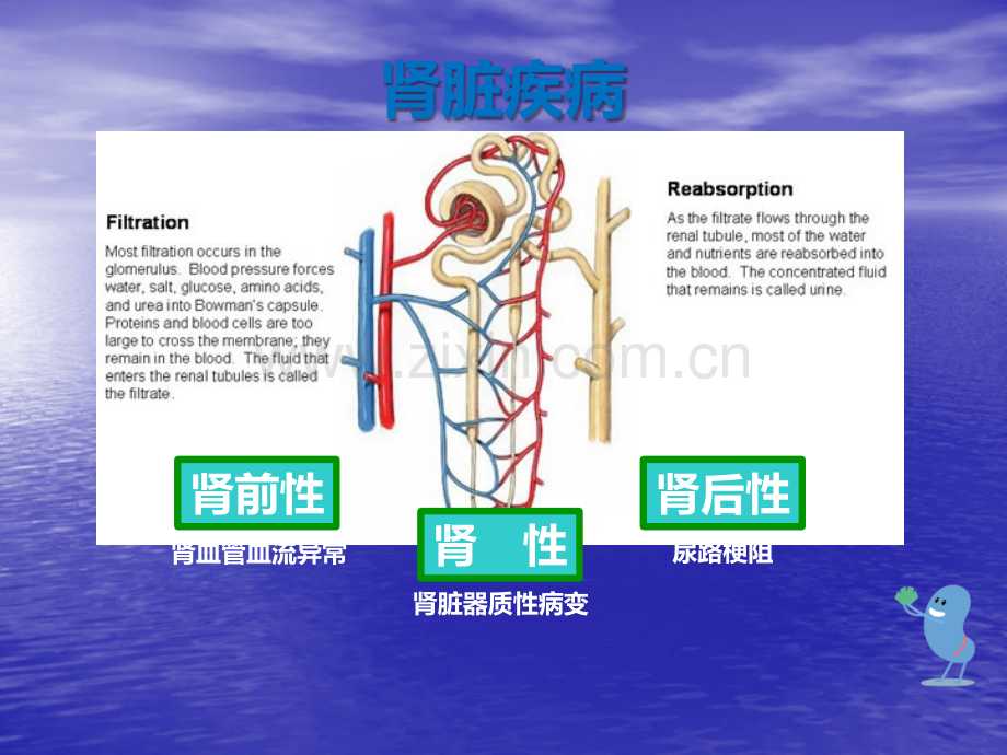 PBL1-肾病临床表现ppt课件.pptx_第2页