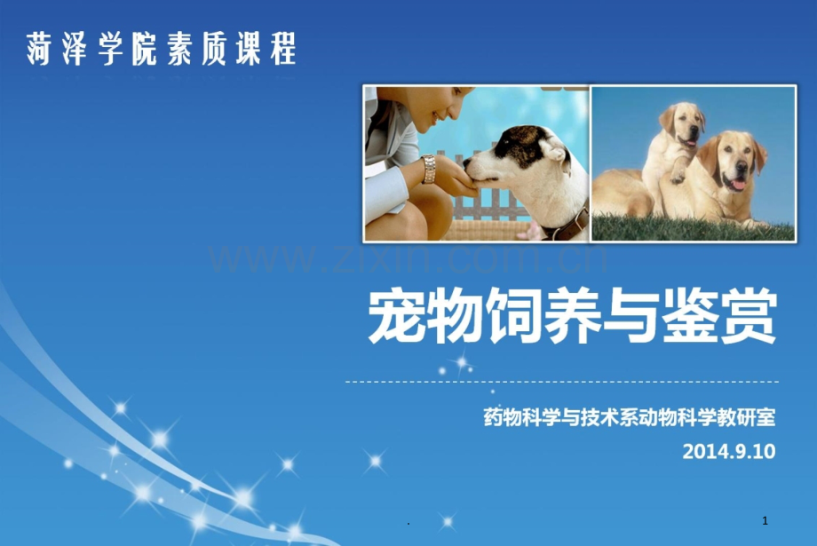 宠物猫的饲养管理PPT课件.ppt_第1页