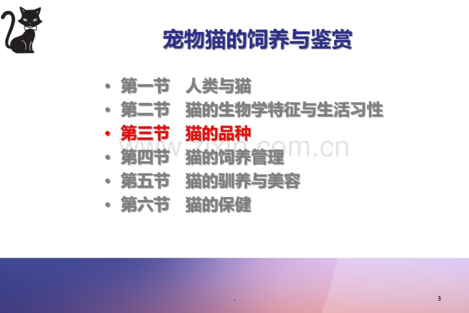 宠物猫的饲养管理PPT课件.ppt_第3页