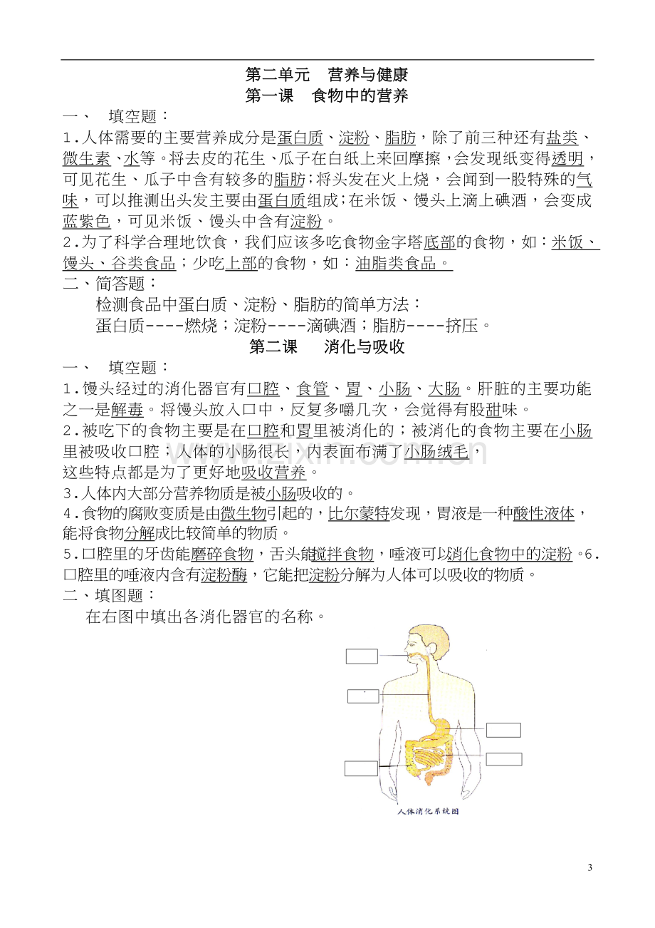 湘教版六年级上册科学复习资料.doc_第3页