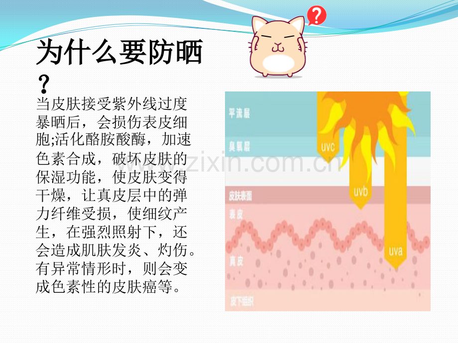 化学在防晒剂中的应用ppt课件.pptx_第2页