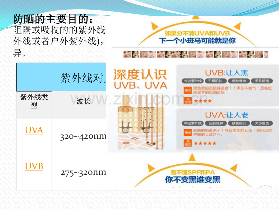 化学在防晒剂中的应用ppt课件.pptx_第3页