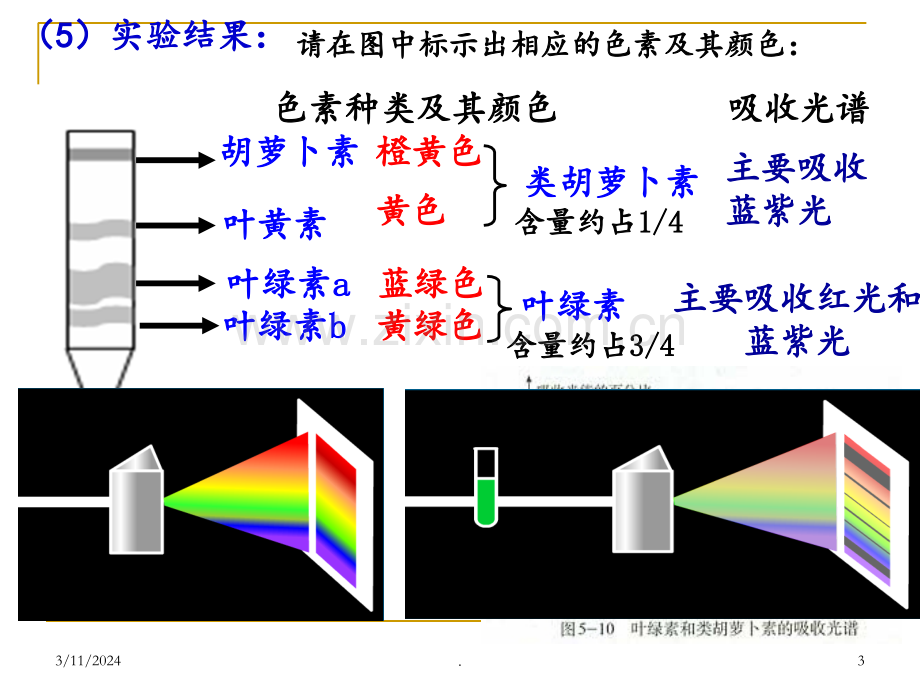 细胞的代谢光合作用和细胞呼吸PPT课件.ppt_第3页