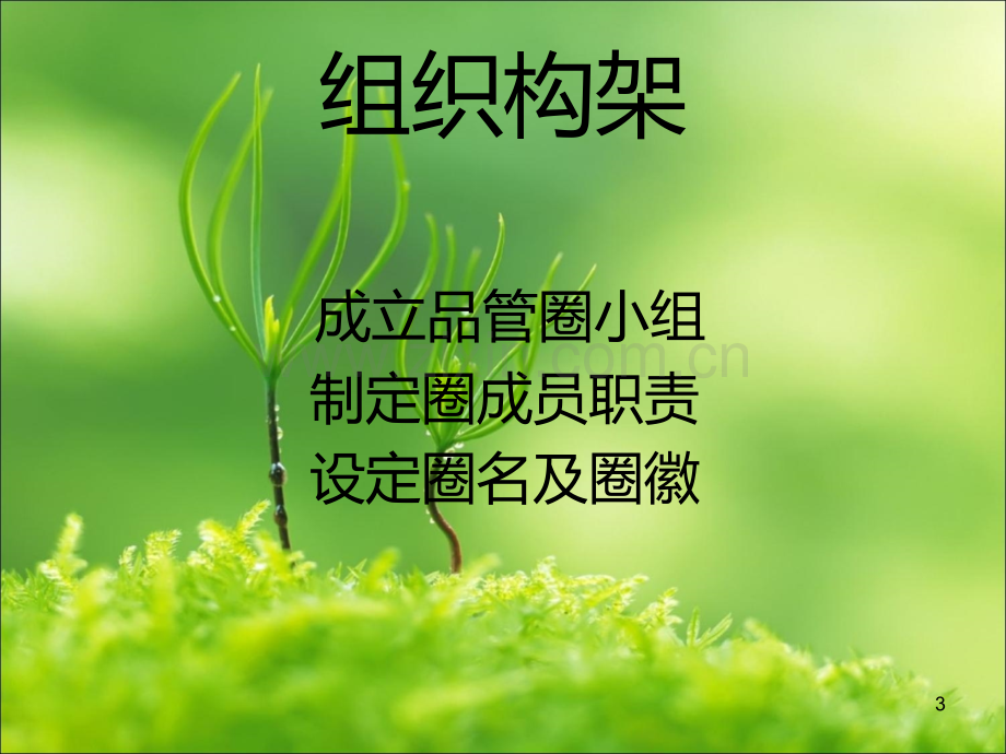 肝胆外科QCC成果发布(邓彦晶)-PPT课件.ppt_第3页