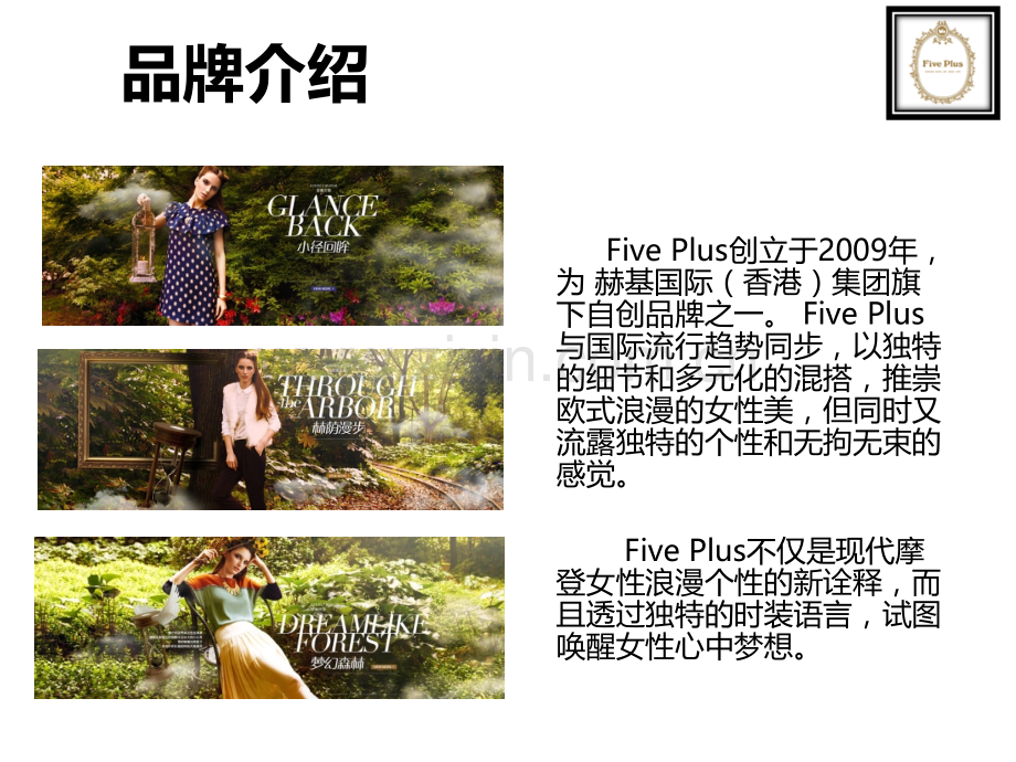 Five-Plus品牌调研.ppt_第2页