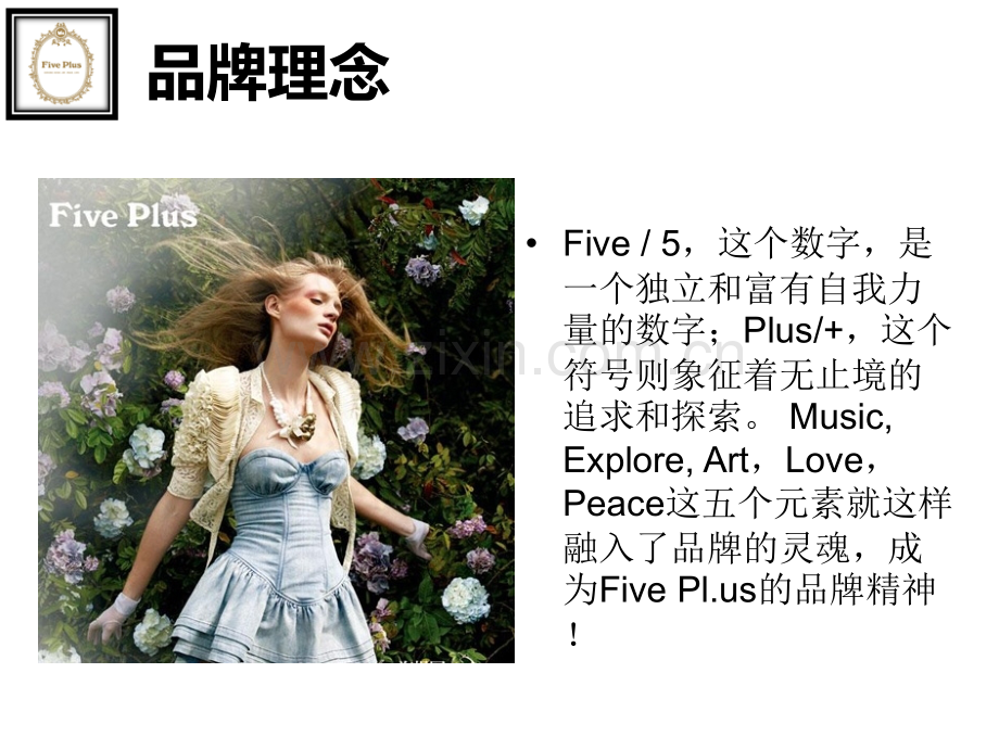 Five-Plus品牌调研.ppt_第3页