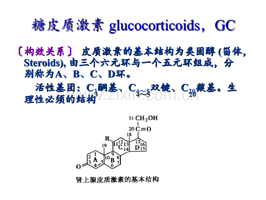 ※糖皮质激素科内讲座PPT课件.ppt_第3页