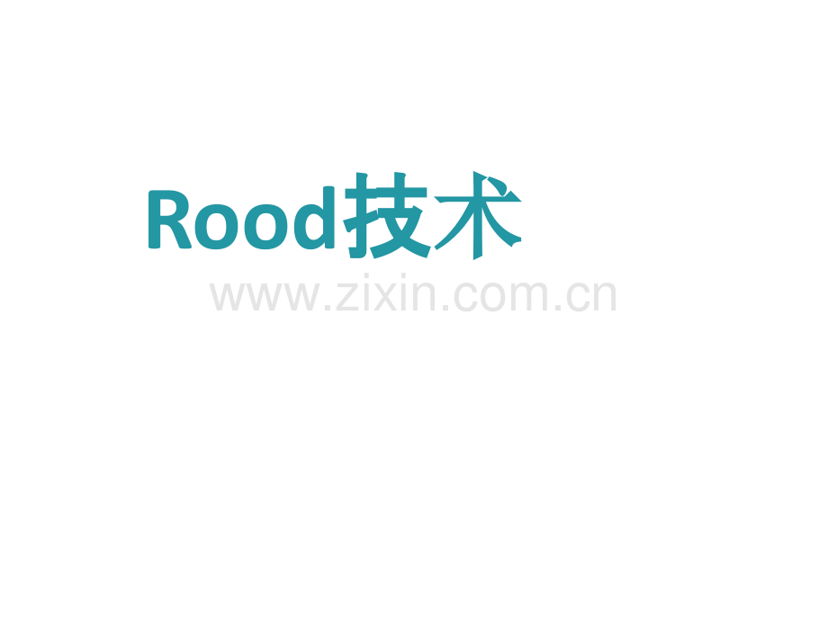 rood-技术ppt课件.pptx_第1页