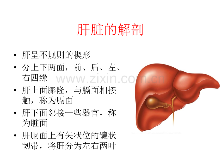 (科内讲课)肝脏的影像学解剖及CT诊断.ppt_第3页