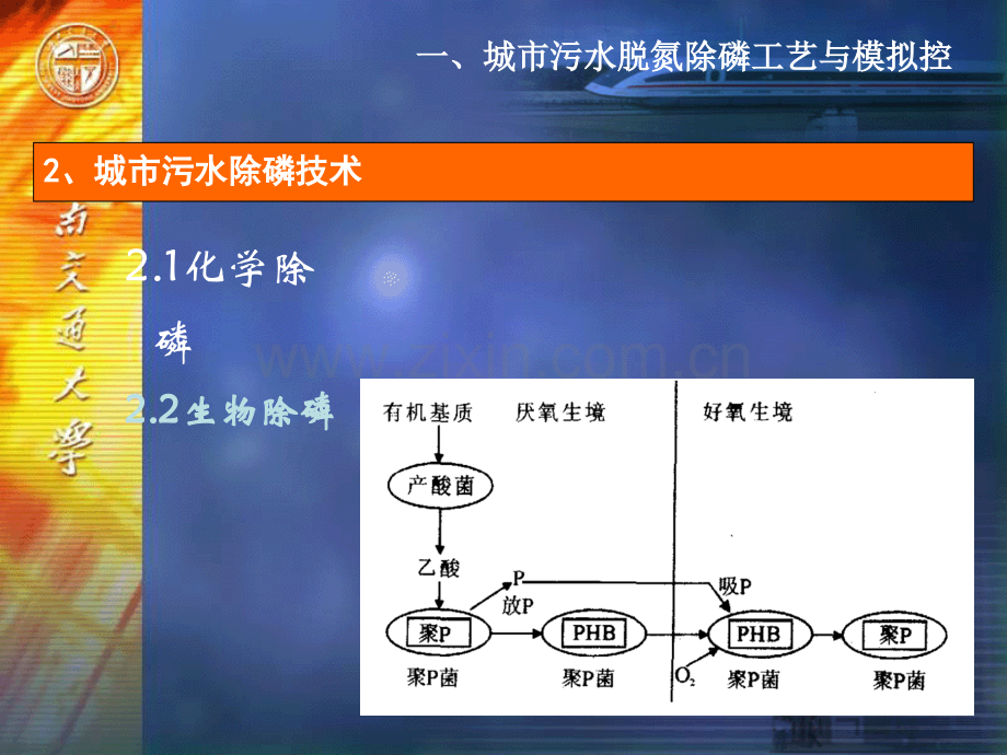 AAO污水处理工艺介绍.ppt_第3页