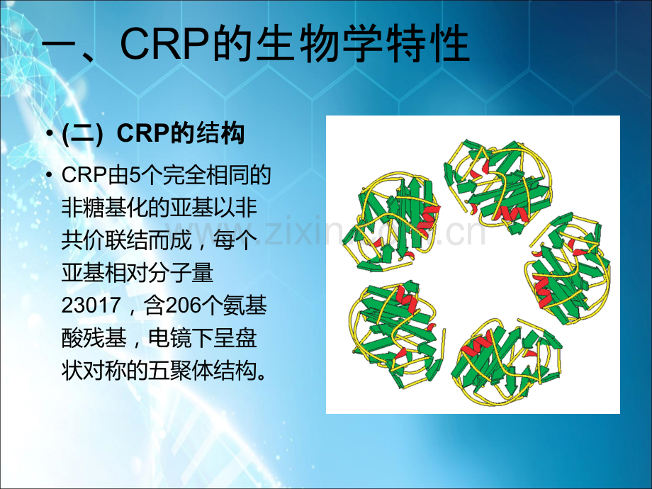 C-反应蛋白(CRP)生物学特征及其临床应用ppt课件.ppt_第3页