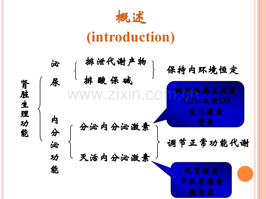 病理生理学-第十四章-肾功能不全.ppt_第2页