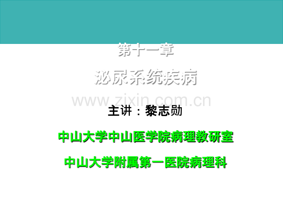 本科康护泌尿.ppt_第1页