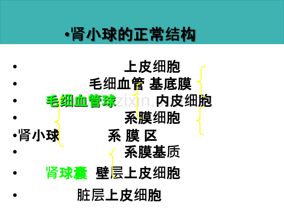 本科康护泌尿.ppt_第3页