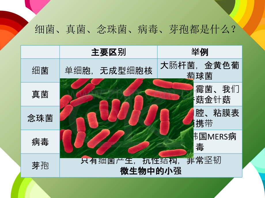 消毒剂知识培训ppt课件.pptx_第2页