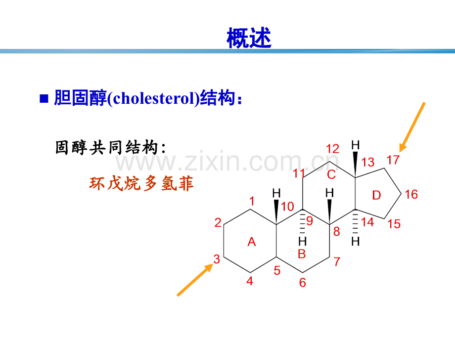 胆固醇代谢.ppt_第3页