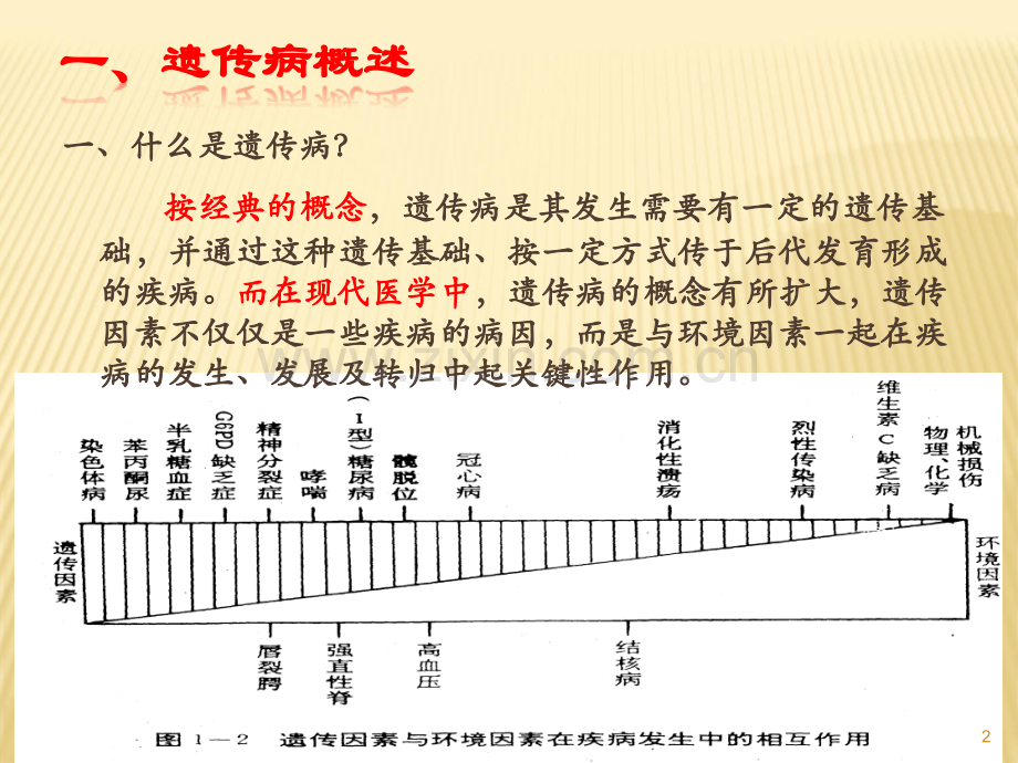 遗传病类型与形成机理-ppt课件.pptx_第2页