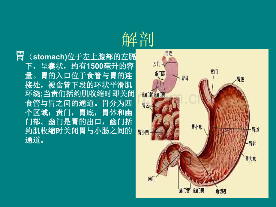 腹腔镜胃癌根治术手术配合ppt课件.ppt_第3页