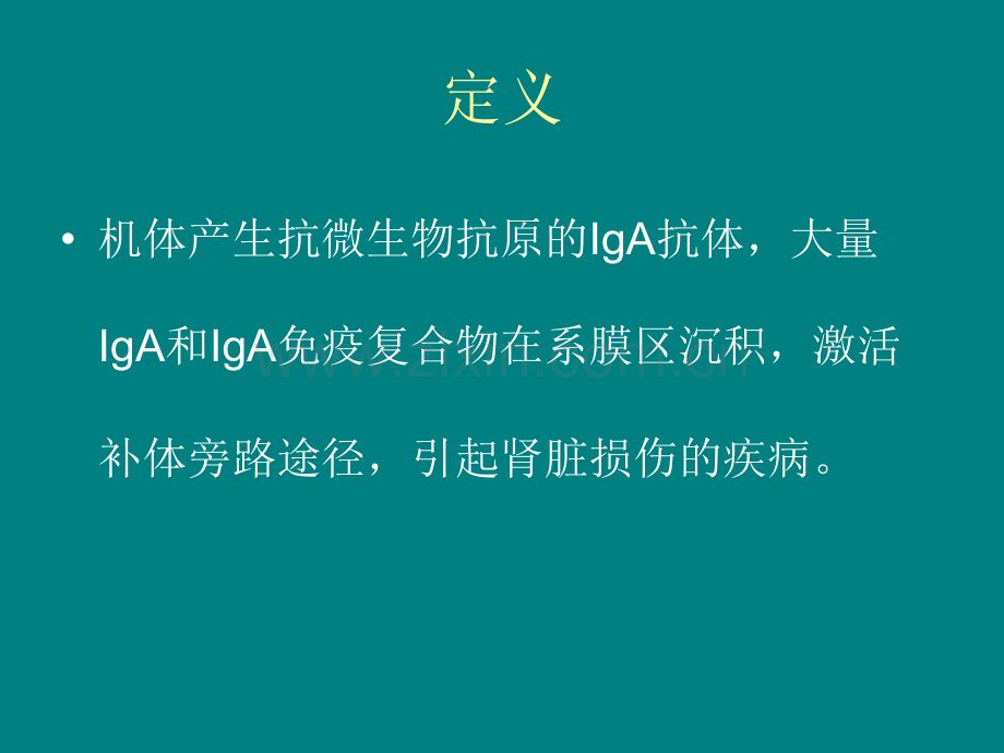 对于IgA肾病的相关知识介绍ppt课件.ppt_第2页