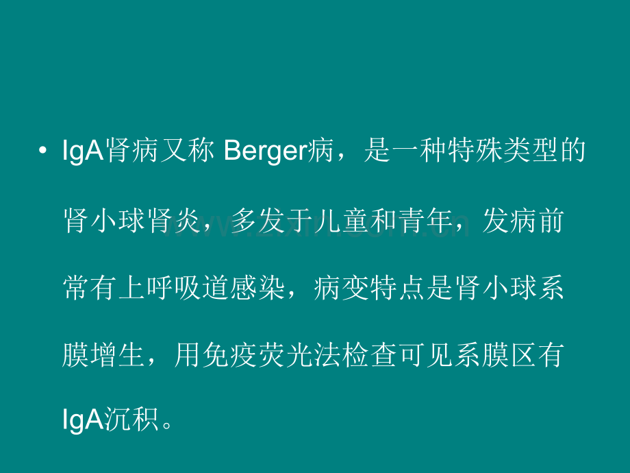 对于IgA肾病的相关知识介绍ppt课件.ppt_第3页