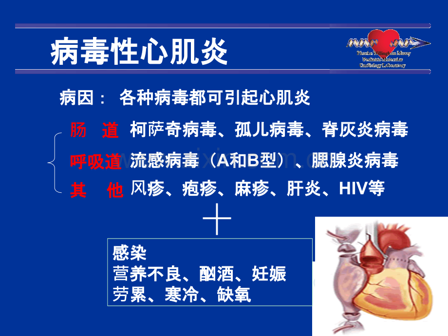 成人暴发性心肌炎诊断和治疗中国专家共识ppt课件.pptx_第3页