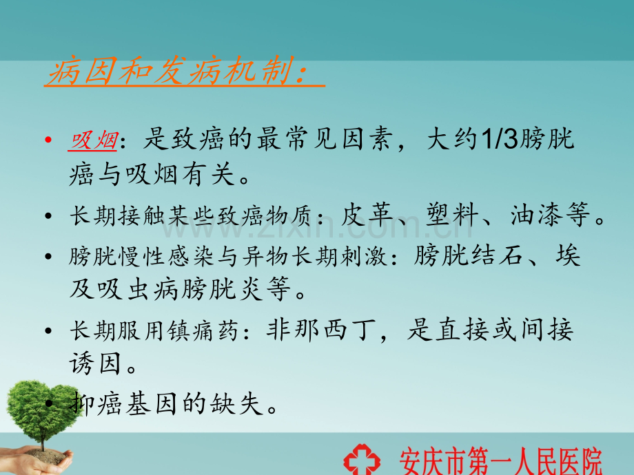 膀胱癌病人护理ppt课件.ppt_第3页