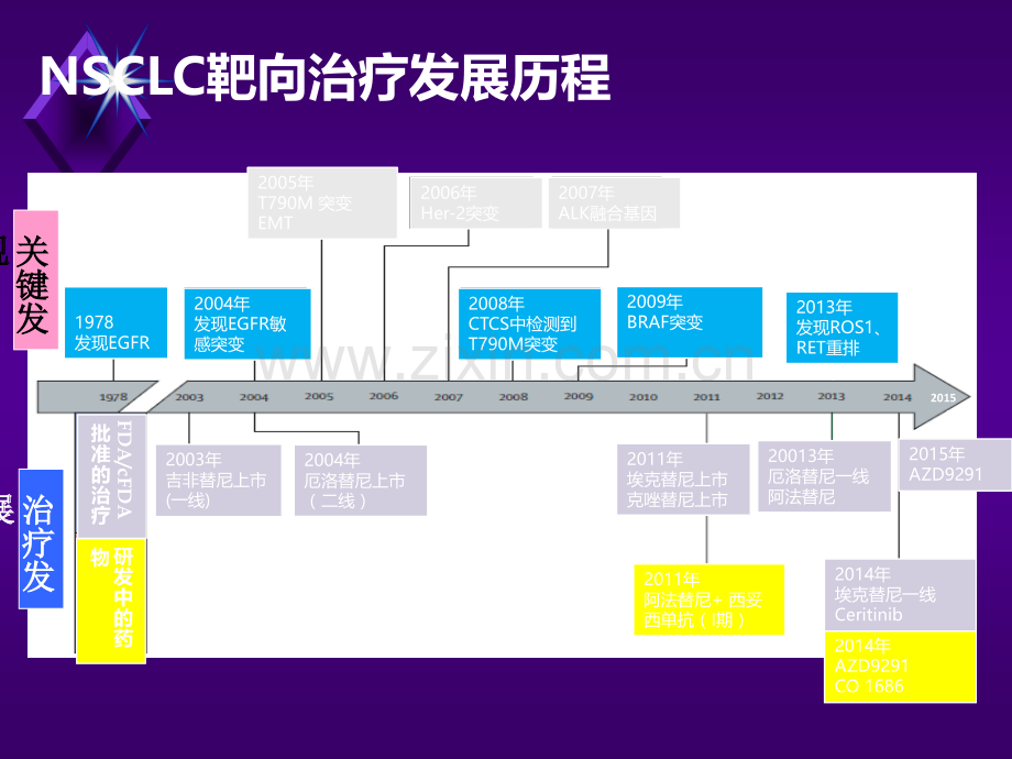 肺癌靶向药特罗凯凯美纳易瑞沙三药比较ppt课件.ppt_第3页