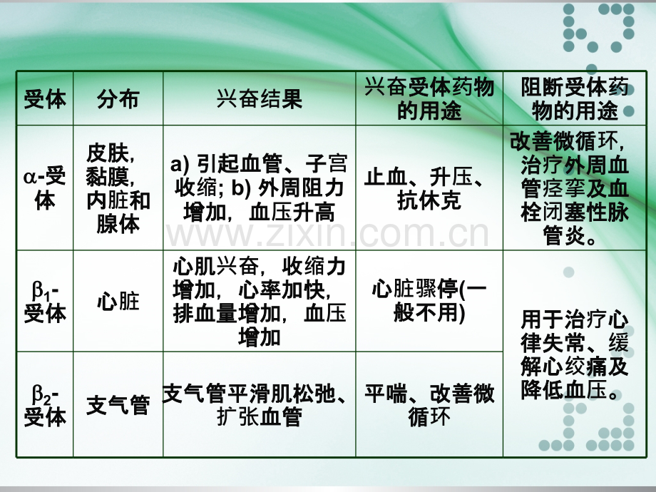 药理学-第十章-肾上腺素受体激动药.ppt_第3页