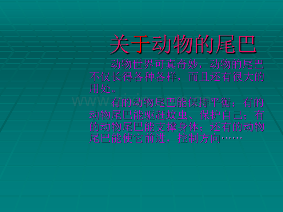 动物尾巴的功能.ppt_第2页