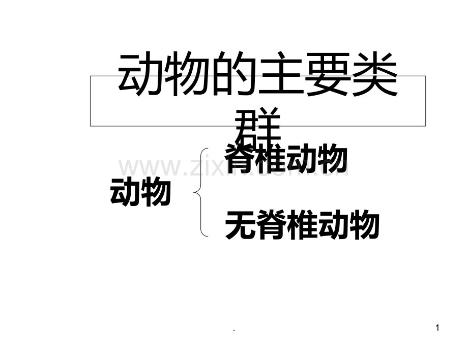 动物的主要类群--北师大版(2019年9月)PPT课件.ppt_第1页