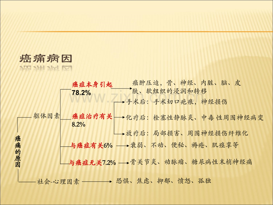 癌痛的规范化治疗.ppt_第3页