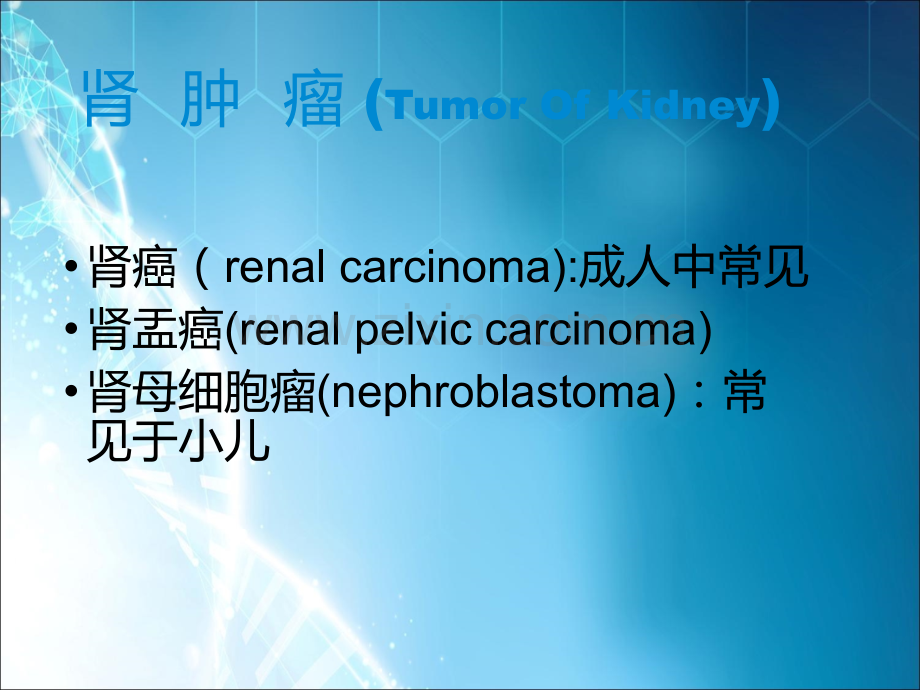 肿瘤-课件.ppt_第3页