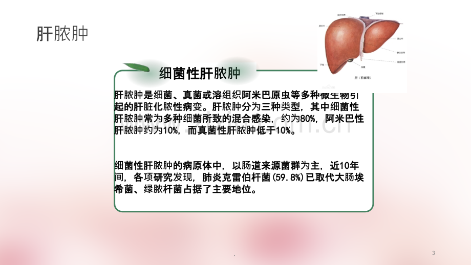 肺炎克雷伯杆菌性肝脓肿ppt课件.ppt_第3页