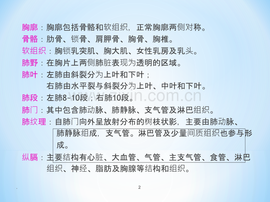 肺部解剖.ppt_第2页