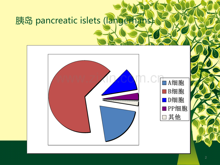 胰岛细胞瘤-PPT课件.ppt_第2页