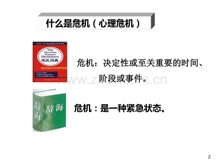 心理危机评估PPT课件.ppt_第2页