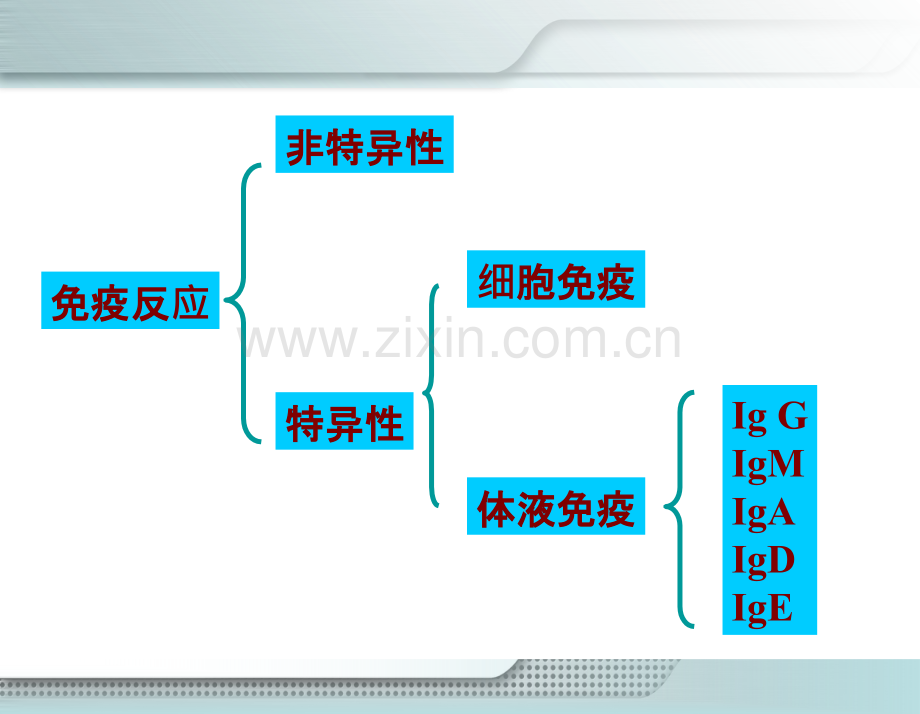 第十三章--免疫性疾病患儿的护理PPT课件.ppt_第2页