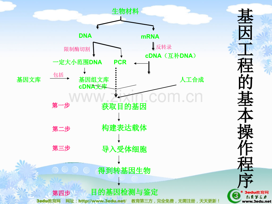 高二生物基因工程和细胞工程PPT课件.ppt_第1页