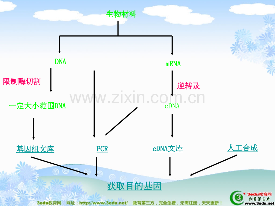 高二生物基因工程和细胞工程PPT课件.ppt_第2页