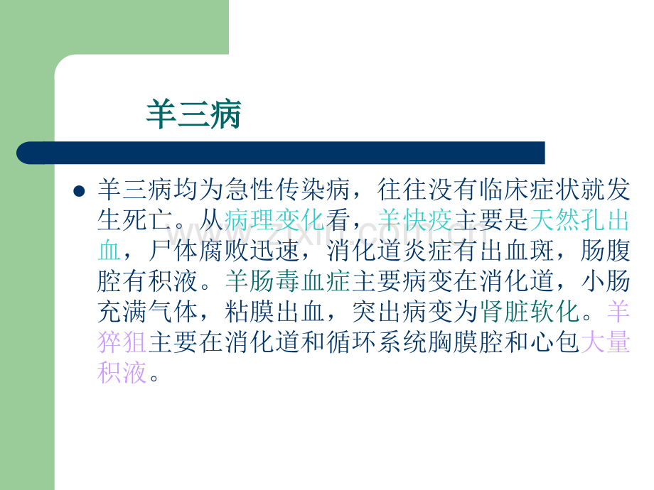 羊常见病的防治.ppt_第3页