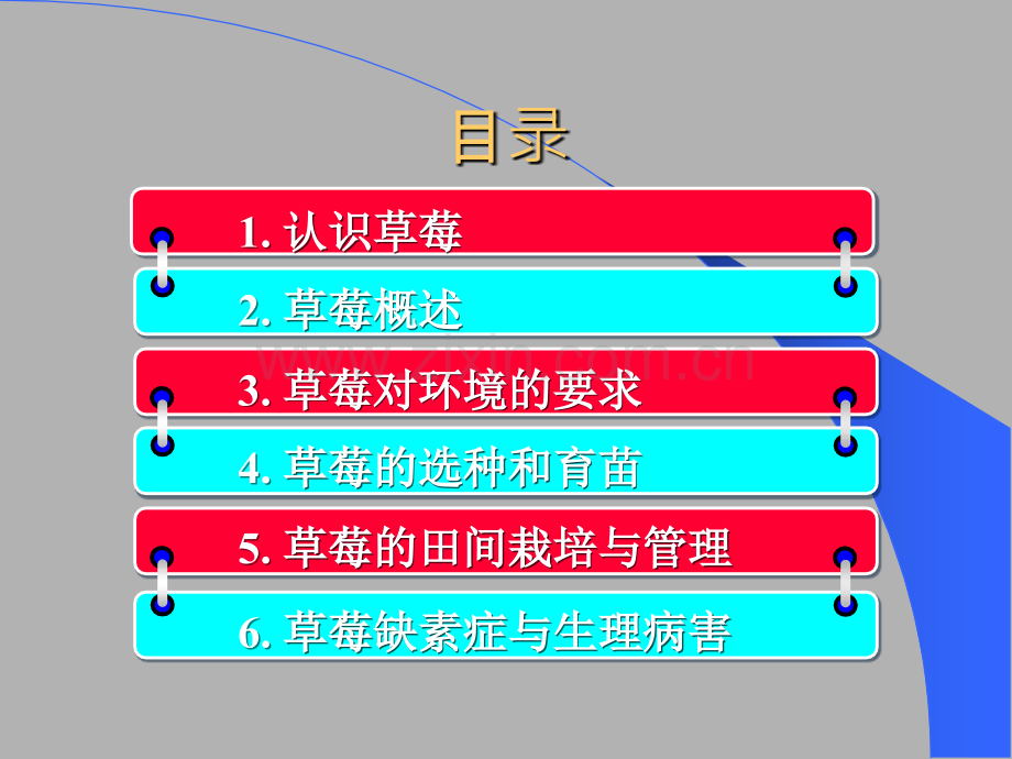 草莓高效栽培技术.ppt_第2页