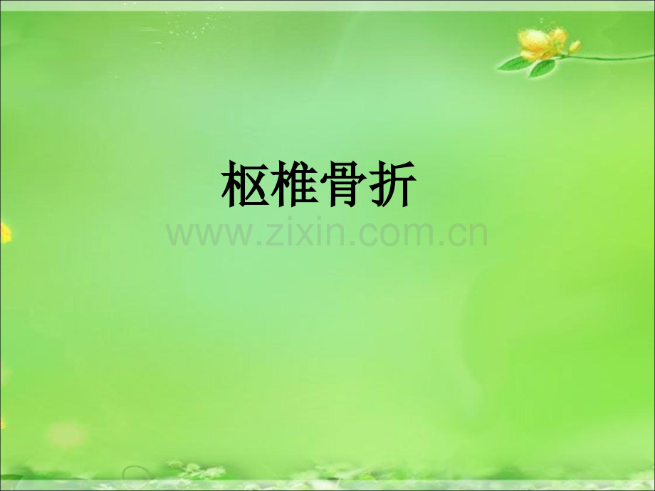 齿突骨折幻灯.ppt_第1页