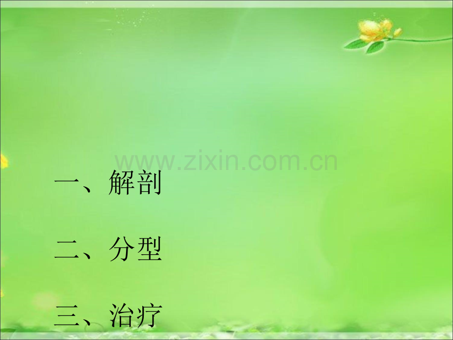 齿突骨折幻灯.ppt_第3页