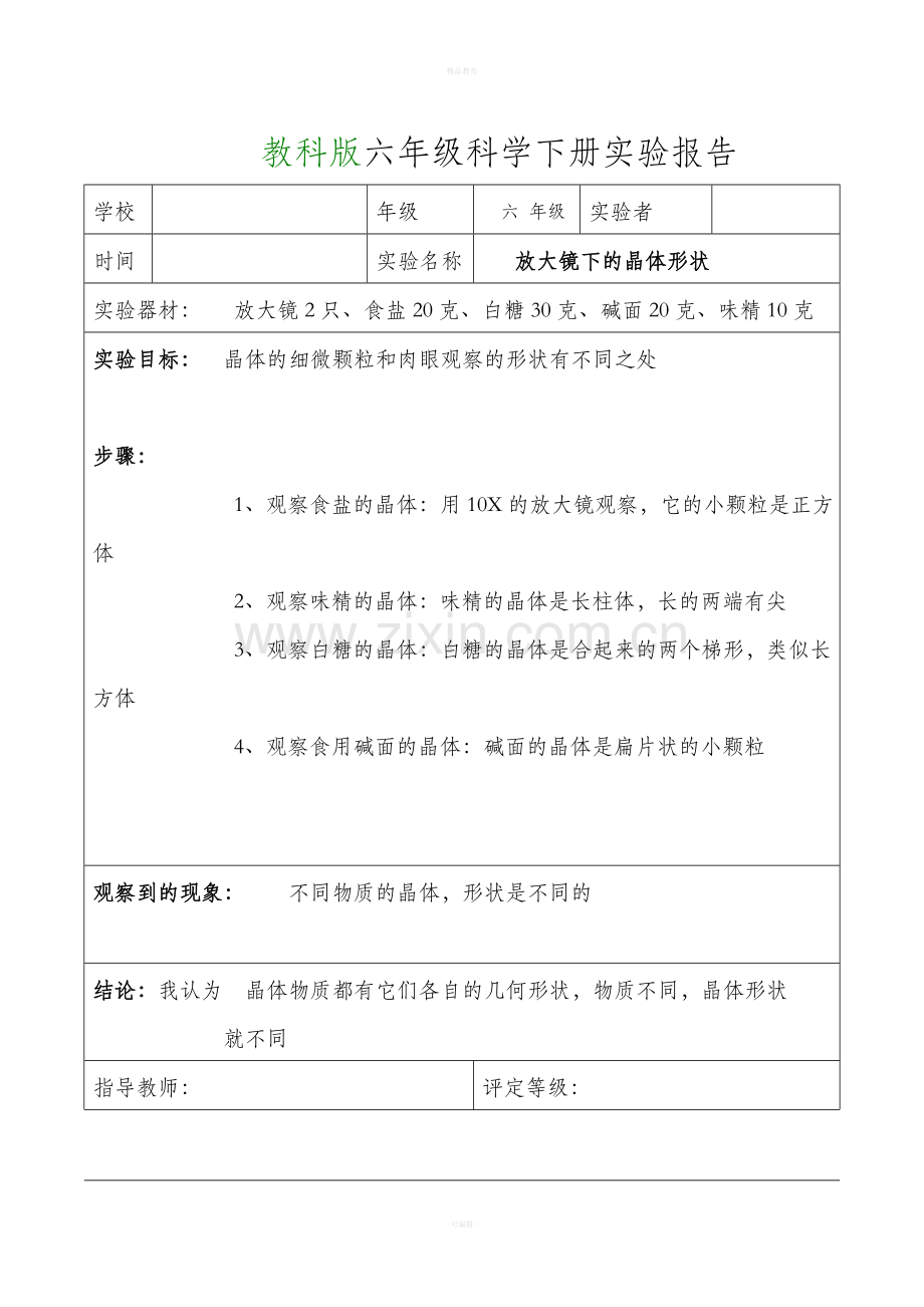 教科版六年级科学下册实验报告单(全).doc_第2页