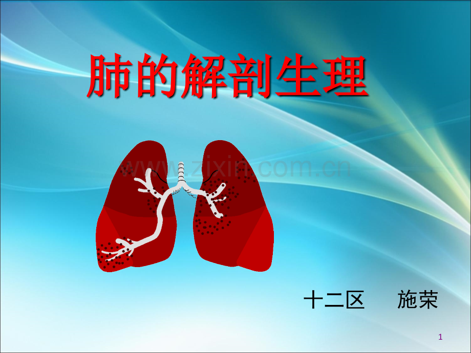 肺的解剖和生理ppt课件.ppt_第1页